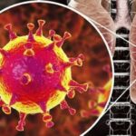 Як захиститися від коронавірусу