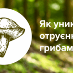 Отруєння грибами: профілактика та перша допомога